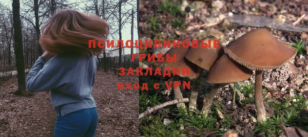 Альфа ПВП Абаза