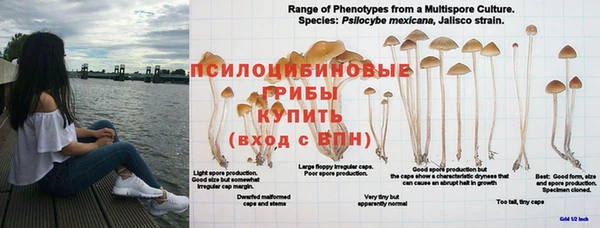 Альфа ПВП Абаза